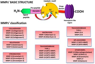 Nanotechnology and Matrix Metalloproteinases in Cancer Diagnosis and Treatment